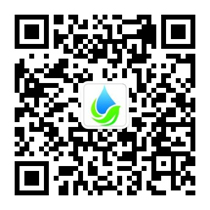 进入移动端站点