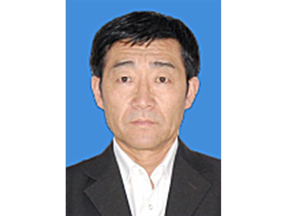 孙成元 大学本科 化学专业教授